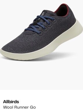 Allbirds Wool Runner Go